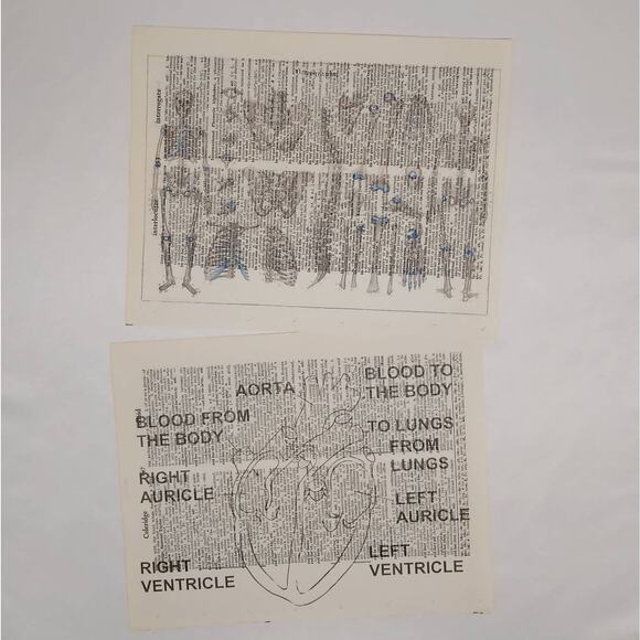 Anatomy Vintage Dictionary Prints, Anatomy Prints, Book Page Prints - Picture 5 of 10